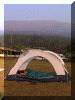 Cameroon00_Buea_MtCameroon_Tent_1790_Web.gif (190527 bytes)