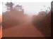 Cameroon00_EnrouteKribi3_RoadDust_1771_Web.gif (158434 bytes)