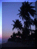 Ghana00_Brenu1_Dusk_1322_Web.gif (217030 bytes)