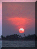 Ghana00_Brenu1_Sunset_1321_Web.gif (195462 bytes)