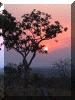 Ghana00_Mole_Walk1_Sunset_1382_Web.gif (201358 bytes)