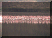 Kenya01_Nakuru1_Lake_Flamingos_2327_Web.gif (193676 bytes)