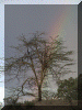 Kenya01_Nakuru_Campsite_Rainbow_2338_Web.gif (250261 bytes)