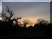 Mali00_Dogon5_Campsite_Sunset_1232_Web.gif (175244 bytes)