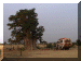 Mali00_BamakoEnroute3_Camp_Tree_923_Web.gif (187742 bytes)