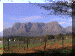 SouthAfrica01_Stellen_Delaire_3516_Web.gif (204627 bytes)