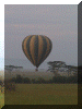 Tanzania01_Serengeti_Day2_Balloon_2062_Web.gif (215140 bytes)