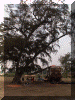 Benin00_Popo_Campsite_Truck_1420_Web.gif (264933 bytes)