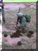 Zimbabwe01_Kariba2_Walk01_ElephantDung_2608_Web.gif (284868 bytes)